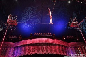 circo_8177