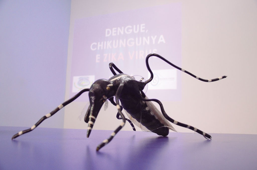 Mosquito-da-Dengue-WM-9